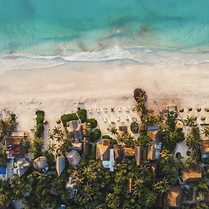 Casa Violeta 3* Tulum